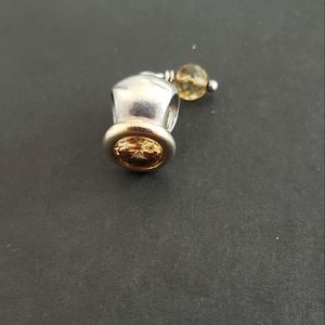 Pandora charm